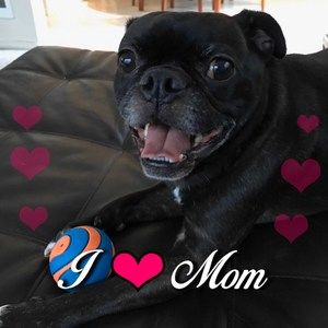 Meet your Posher, Dianne